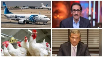 تحركات حكومية مكثفة.. أسباب جديدة لضبط أسعار الدواجن وحقيقة تسريب الامتحانات المتداول